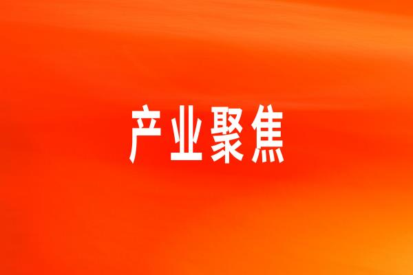 ������Ӧ��ר�����񡪡������ͻ�����ġ�yl23455������ʳ���塱